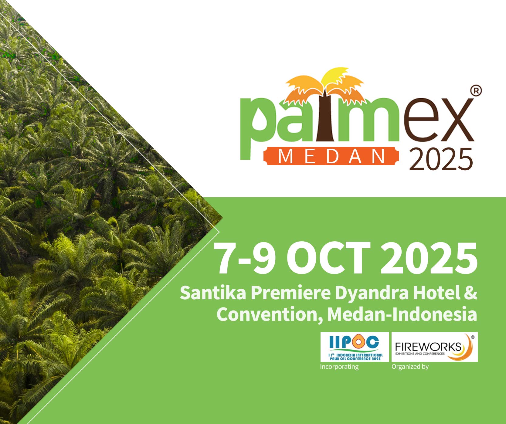 棕榈油残渣发电 |  生物质气化系统 | 棕榈油厂可持续能源.jpg